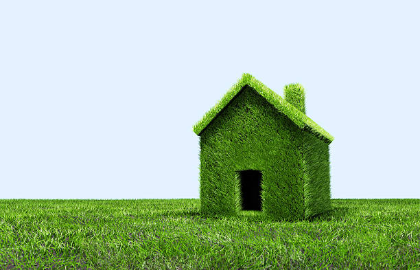 3D Illustration - Green grass house.